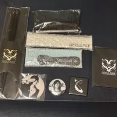 LUNA SEA SUGIZO グッズ セット FC継続特典