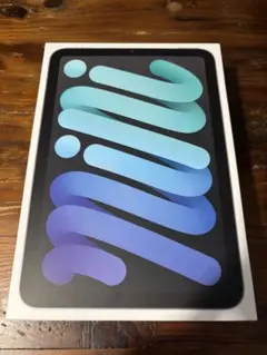 Apple iPad mini (第6世代) スペースグレー　美品