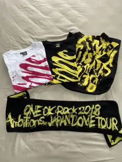 ONEOKROCK 2018 AMBITIONS JAPAN DOME TOUR