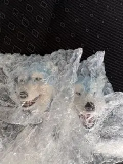 Item thumbnail for item 572e5c65-ae6d-4f04-b688-97b180d733ca