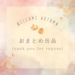 のん@プロフ必読 配送予定はプロフ記載様 リクエスト 5点 まとめ商品