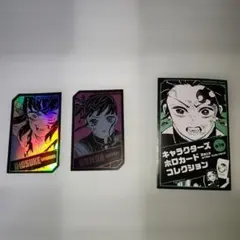 鬼滅の刃 キャラクターズホロカードコレクション 第1弾 嘴平伊之助 栗花落カナヲ