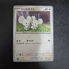 ポケモンカード ワッカネズミのサムネイル