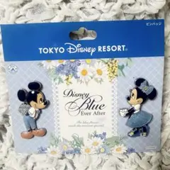 東京ディズニーリゾートピンバッジセット　ミッキー　ミニー
