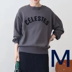 【12/9 限定】美品 アメリカンホリック バイパチ ロゴニット プルオーバー