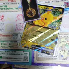 JR ポケモンメガスタンプラリー 2025スペシャルメダル ジャンボカード