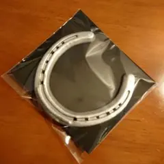 【本物の蹄鉄】馬蹄