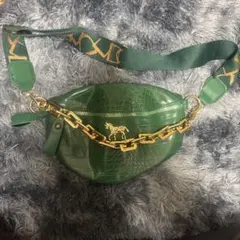 グリーン クロコダイル風 ショルダーバッグ　SHEIN