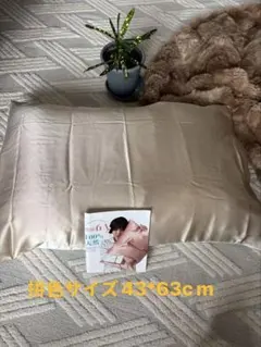 枕カバー 100%マルベリーシルク 最高等級6A