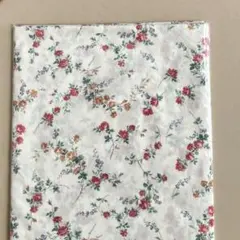 Item thumbnail for item 4b146f5f-da86-4039-993b-07074d61de19