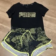 PUMA レディース Tシャツ　パンツ