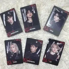 straykids スキズ フォトカード ATE
