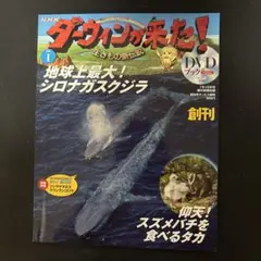 NHK ダーウィンが来た！生きもの新伝説DVDブック NO.40 - メルカリ