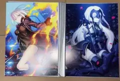 fgo 最終再臨画集 Ⅰ ジャンヌオルタ セイバーオルタ ビリー
