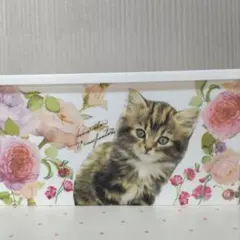 Item thumbnail for item dde8273b-61f3-4c1f-a08c-2c6543db80ed