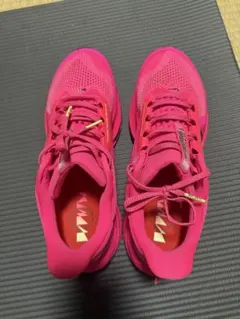 Nike Pegasus Premium size:28.5cm