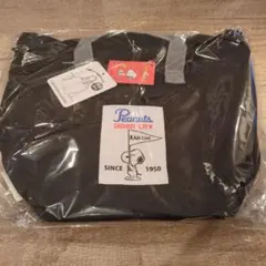 Item thumbnail for item 44eb9e77-f15d-4133-b1a4-822fddc34265