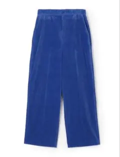 SHISHIKUI Painter C / CORDUROY NAVY 34 - メルカリ