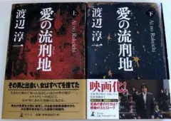 愛の流刑地上下巻セット 幻冬舎 渡辺淳一 中古品