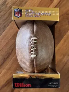 Item thumbnail for item 48584a05-0641-40d0-bda8-e45a61a41afb