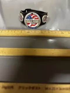 WWE ジャックス　USチャンピオンベルト　ジョンシナのサムネイル