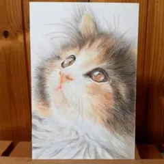 Item thumbnail for item 192f0c85-cc9d-485a-8608-48ab068b5a03