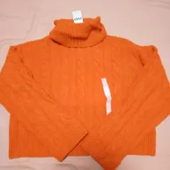 Item thumbnail for item fbd8c7d0-9d9a-46f2-aea4-b01f5ee4c4f0