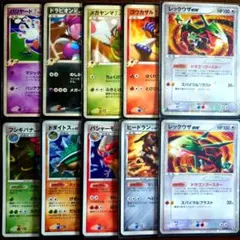 ポケパークのラティオス ケンタロス プレミアムファイル プロモ 10枚セット ポケパークのラティオス ケンタロス プレミアムファイル プロモ 10枚