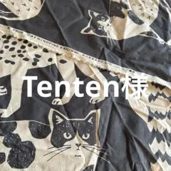 生地　KOKKA echino