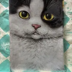 コヤンイサムチョン　赤ちゃん猫と友達　ファブリック　Vol.９