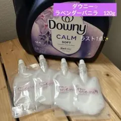 2026年最新】Downy 洗濯用品の人気アイテム - メルカリ