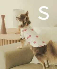 gelato pique 「CAT＆DOG」チェリー柄プルオーバー（S)