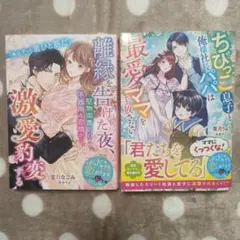 ベリーズ文庫10月 2冊セット