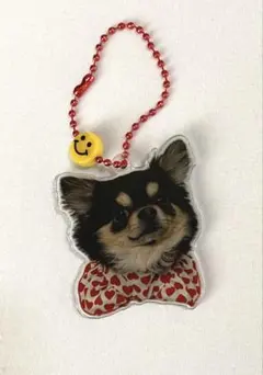 チワワ アクリルキーホルダー スマイルチャーム付き