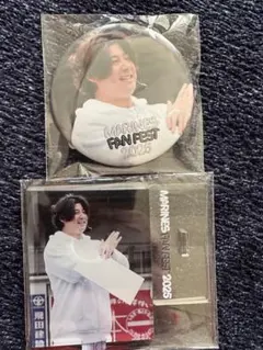 Item thumbnail for item 6ec47ed3-f59c-4747-8875-3b7244835831