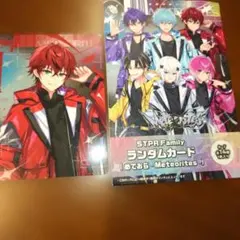 STPR Family ランダムカード めておら -Meteorites- ロゼ