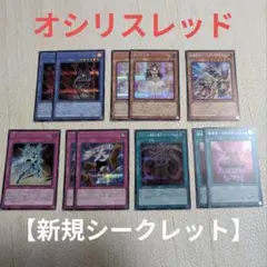 【オシリスレッド】新規 11枚セット シークレット