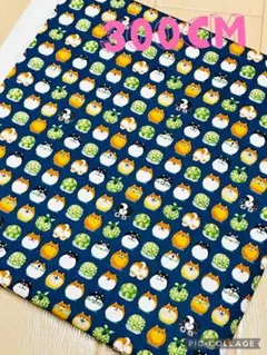 めんこい 柴犬風呂敷 唐草 スケア生地 まとめ売り 3m / No.103