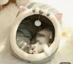 Item thumbnail for item 5e21f0fb-17ab-4dc2-bb9e-4dac5a617a87