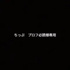 ちっぷ　プロフ必読様専用