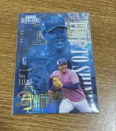中日ドラゴンズ柳祐也選手超レアカード 中日ドラゴンズ柳祐也選手超レアカード ドリームオーダー CBP01