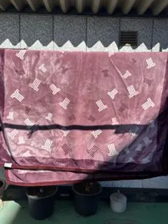 未使用　ランバン　毛布　シングルサイズ