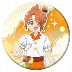 夕凪ツバサ 缶バッジ 42点セット ひろがるスカイ！プリキュア ハッピーバースデーセット 夕凪 ツバサ
