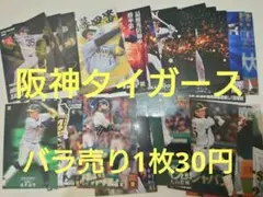 阪神タイガース　カルビープロ野球チップス カード バラ売り可能