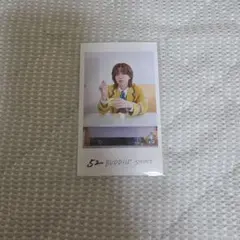 BUDDiiS MORRIE SHOOT　エビライ　ミニフォト