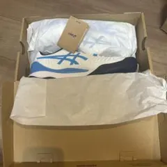 ASICS GEL-RESOLUTION 9 テニスシューズ 28.0cm箱付き