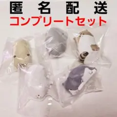 怒ったもふもふの猫ちゃあぁぁん コンプリート まとめ売り