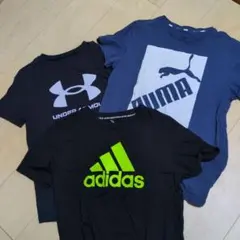 Tシャツ3枚セット