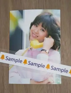 【現品限り】松田聖子 L判写真 No.98のサムネイル