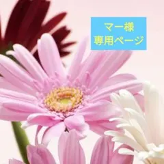 ★マー様専用ページ★